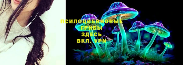 ешки Бронницы