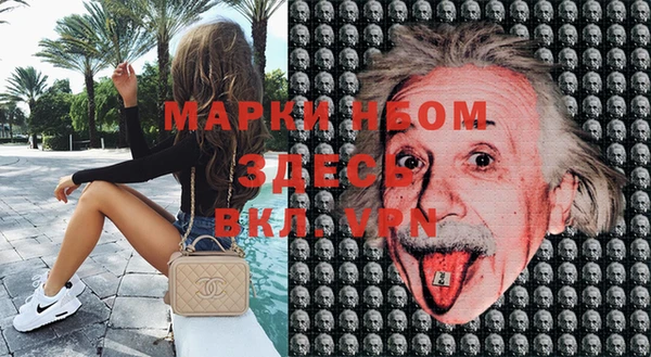 ешки Бронницы