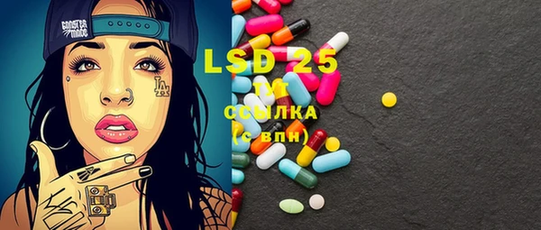 mix Бородино