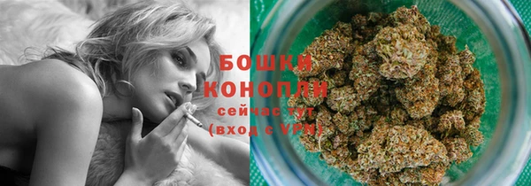 ешки Бронницы