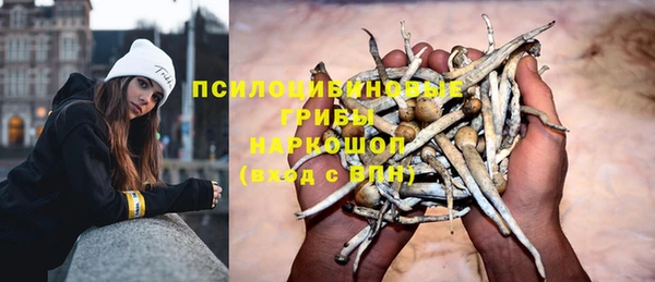 mix Бородино
