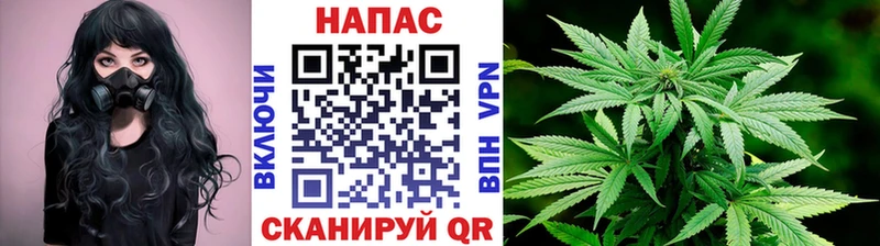 Бошки марихуана VHQ Когалым